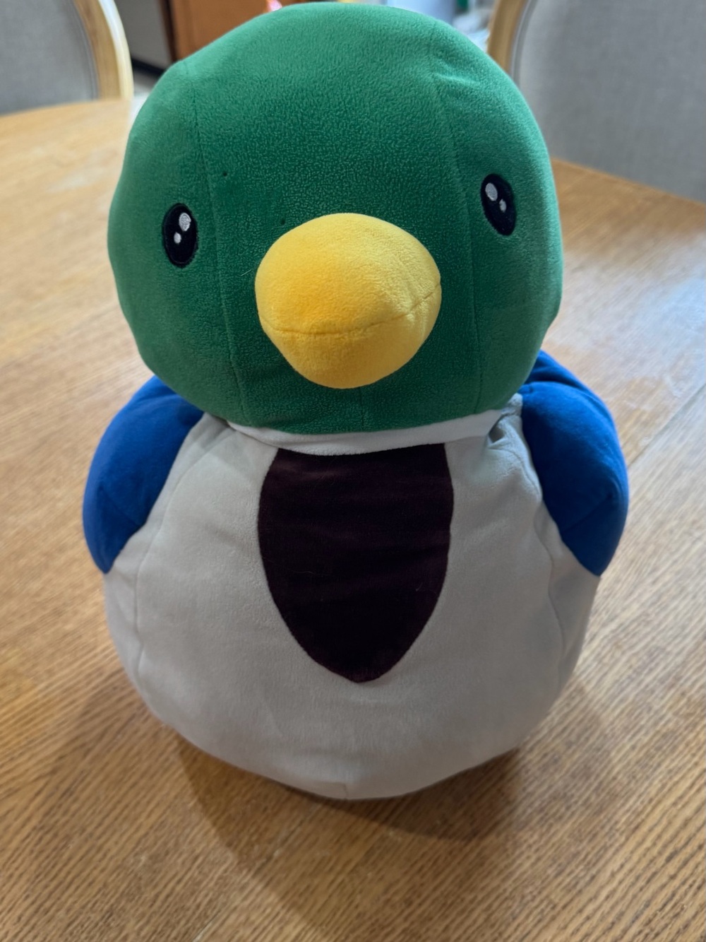 Plush Green and Blue Duck Stuffed Pet Toy - Soft Bird Plush